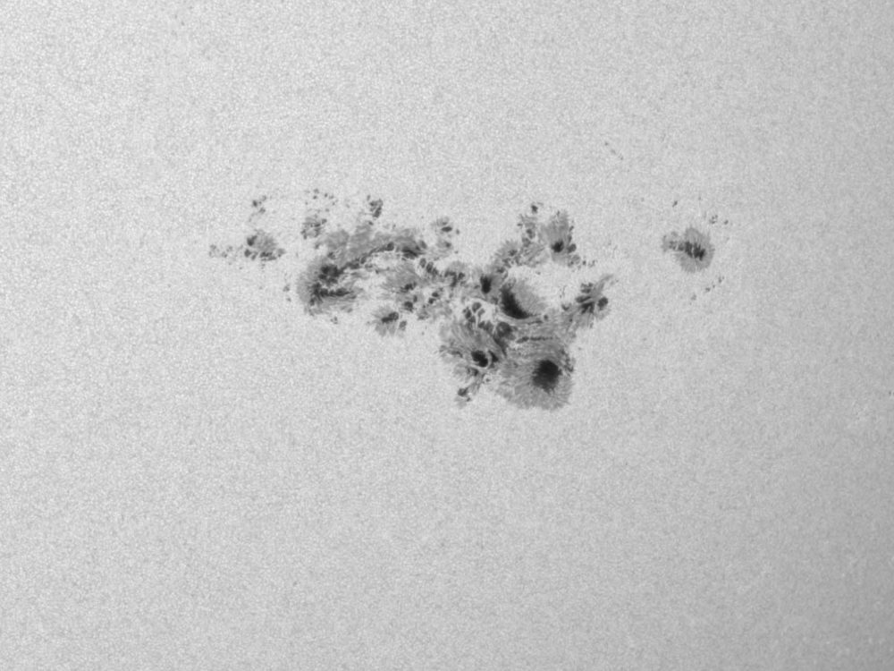 Close-up of the Sun's surface on May 9, 2024 showing sunspot group AR 3664, a sprawling cluster of dark spots